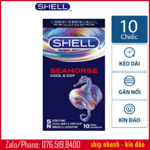 bao-cao-su-shell-seahorse